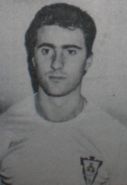FRANCISco Javier Navarro Luján 