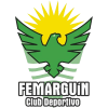 CD Femarguín